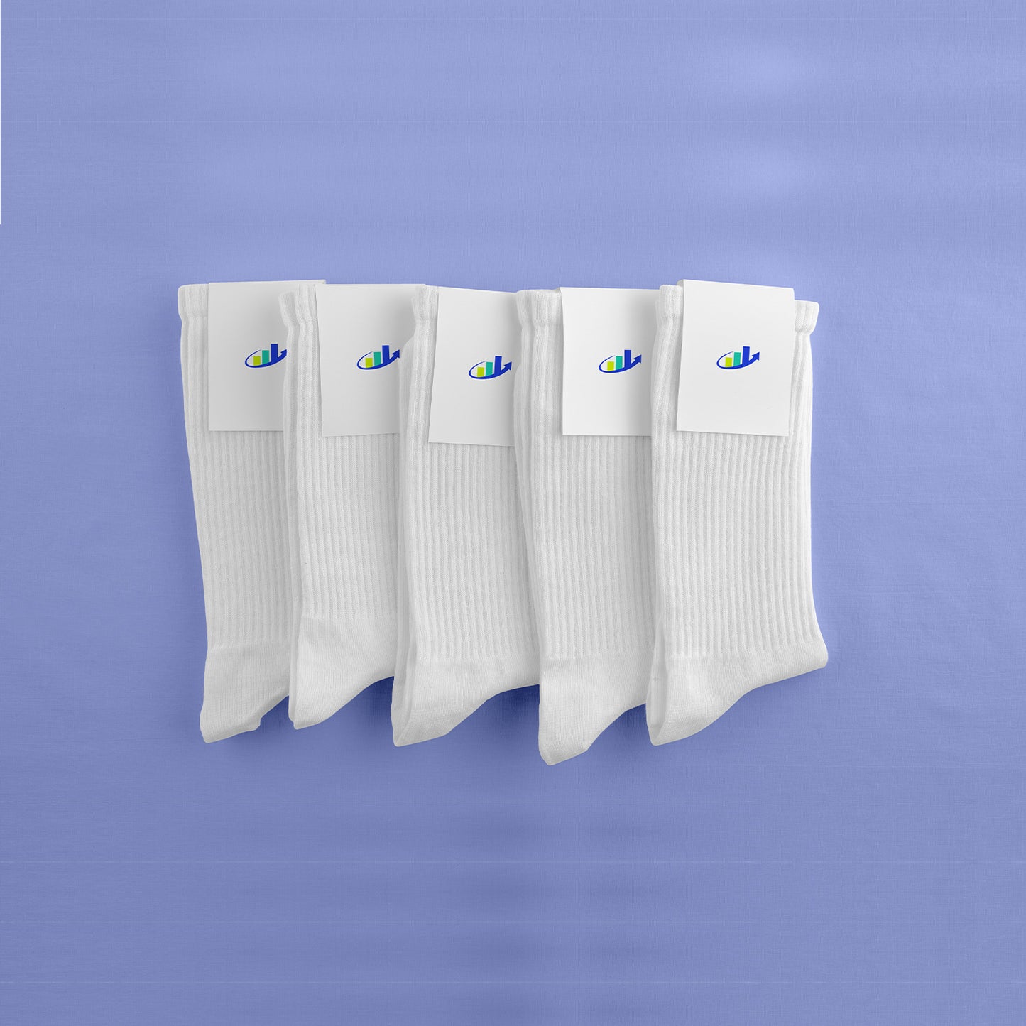 White Socks Bundle
